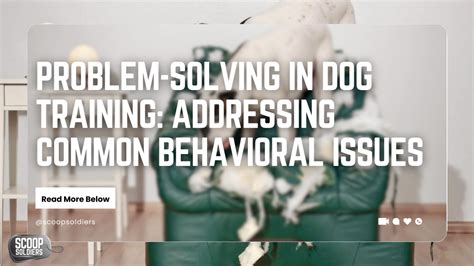 Addressing the Problem and Getting Your Dog Healthy Again