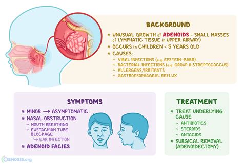Adenoids: Function, Problems, & Solutions.