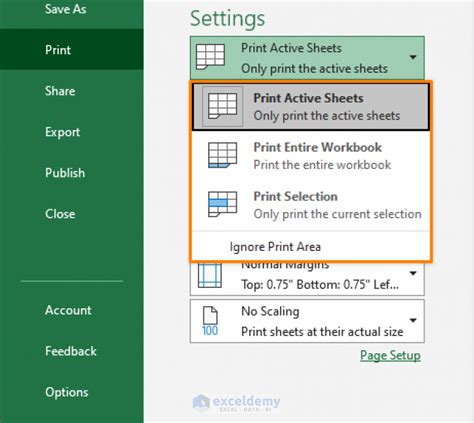 Adjust Print Settings in Excel