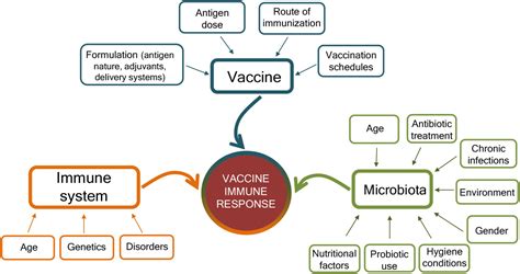Administration and Immune Response