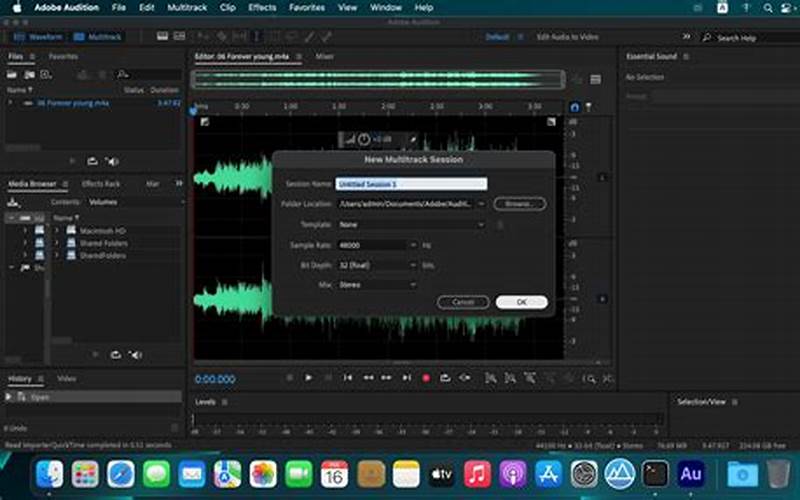 Adobe Audition (Pc And Mac)