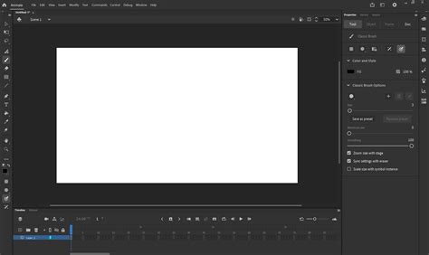 Adobe Animate: Interface