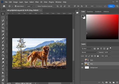 Adobe Photoshop Interface