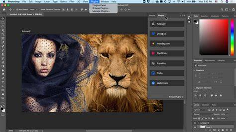 Image of Adobe Photoshop Overview
