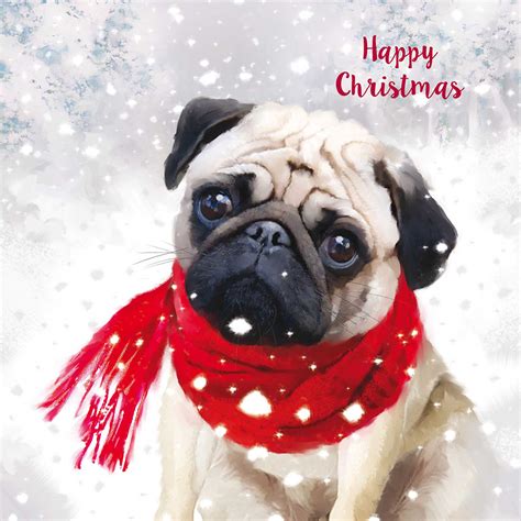 Adorable Pug Christmas Cards