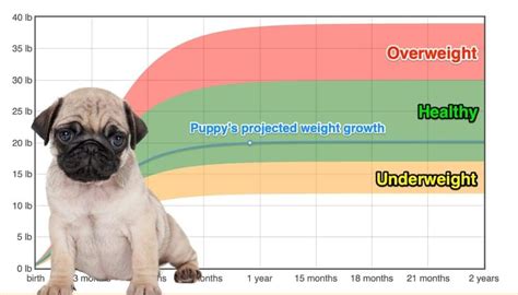 Adorable Pug Growth Chart