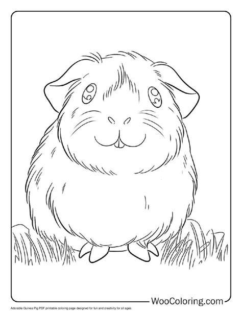 Adorable Guinea Pig Coloring Pages