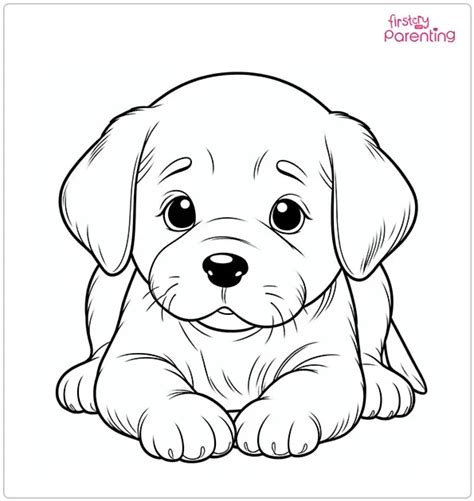 Adorable Labrador Puppy Coloring Pages