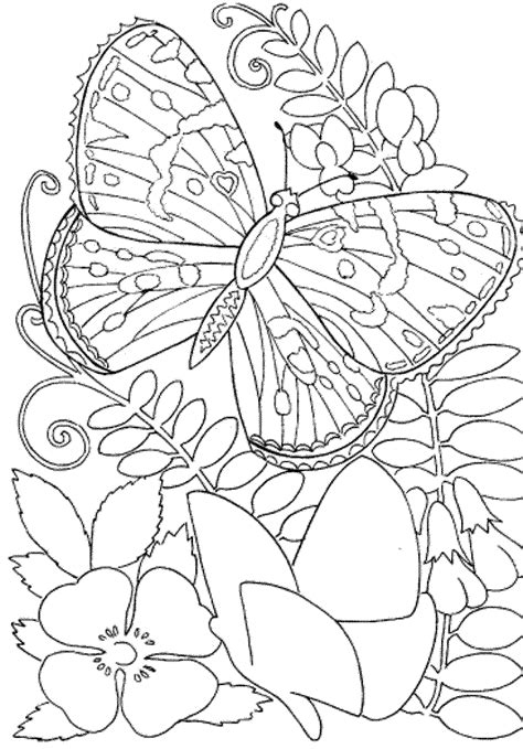 Relax and color: Large print adult coloring books for stress-free enjoyment