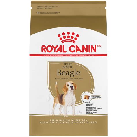Adult Beagle Food