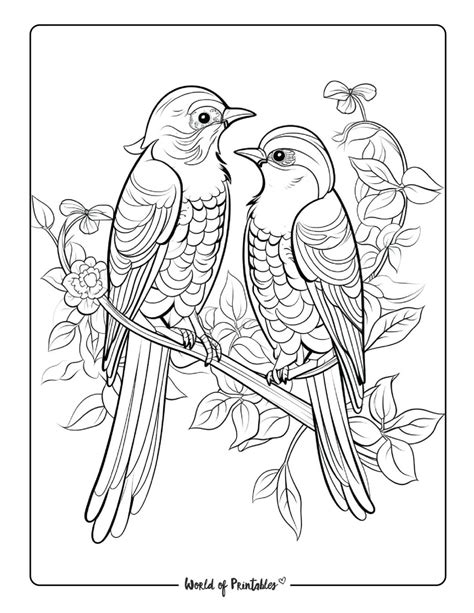 Adult Coloring Bird Free Printables
