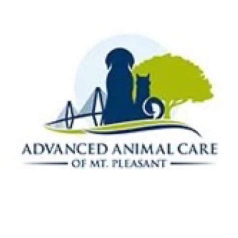 Expert Animal Care Services at Advanced Facility in Mount Pleasant, SC