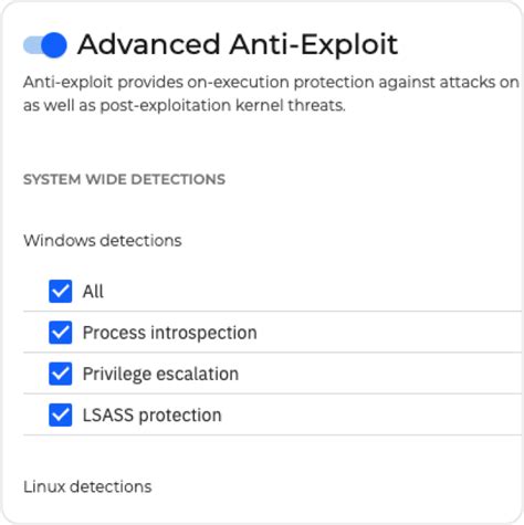 Advanced Anti-Exploit