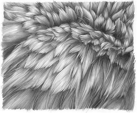 Advanced Coloring Techniques for Fur Texture
