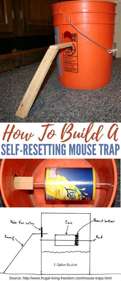 Advanced DIY 5 Gallon Bucket Mouse Trap Designs