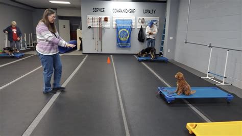 Advanced Obedience and Specialty Classes