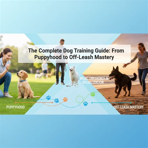 Advanced Off-Leash Mastery