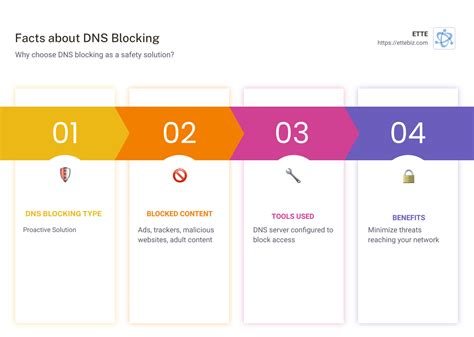 Advanced Techniques: DNS and Network-Level Blocking