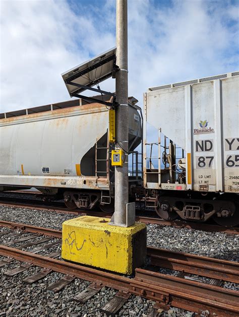 Advanced Techniques for Yard Protection