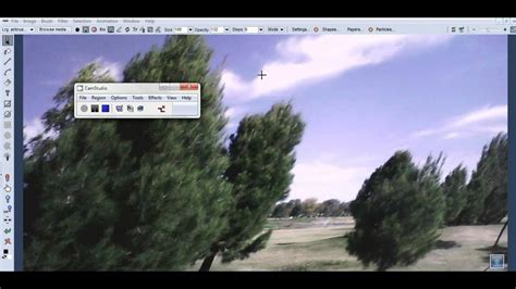 Advanced Tips: Skewing and Custom Cropping