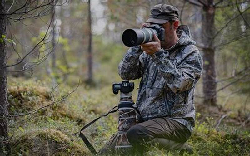 Advancements In Equipment In Wildlife Photography