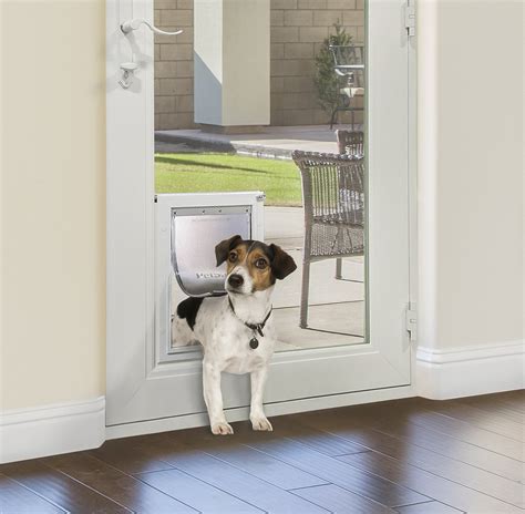 Advantages of Installing a Doggie Door