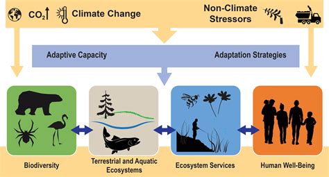 Advantages of Migration on Ecosystems