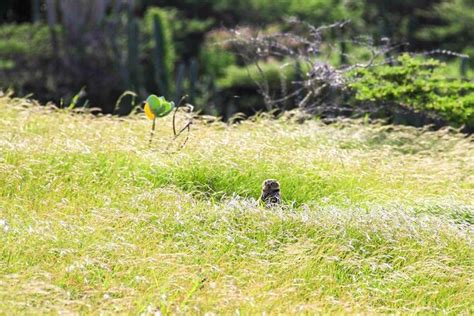 Advantages of Private Excursion