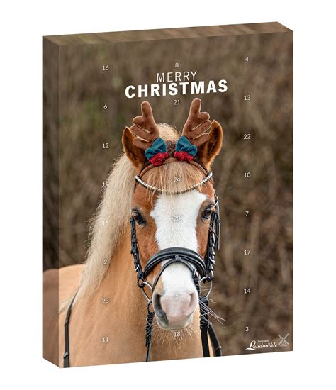 Advent Calendar With Horses