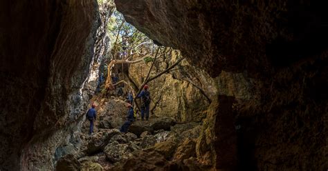 5-in-1 Adventure Circuit Review: Is It Worth It?