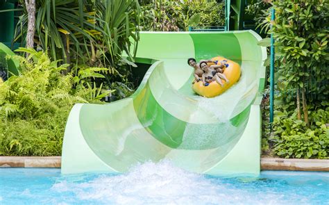 Adventure Cove Waterslides