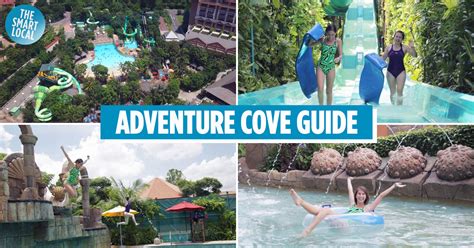 Adventure Cove tips and tricks