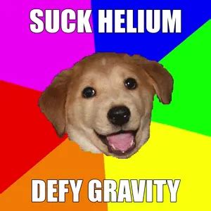 Advice Dog Meme Generator