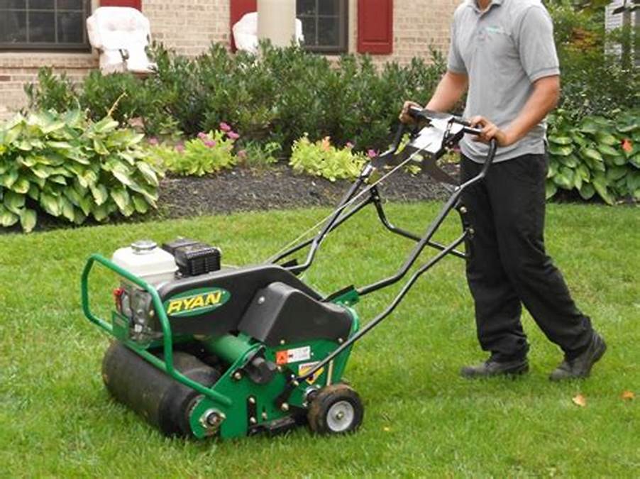 Picture of aerating a lawn