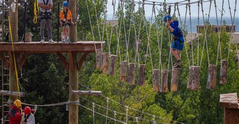 Aerial Ropes Course Experience