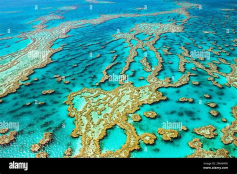 Aerial View of Great Barrier Reef