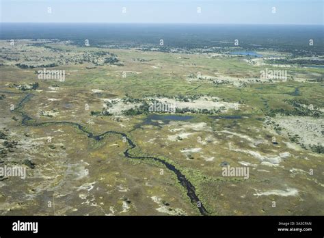 Aerial View of Moremi Game Reserve