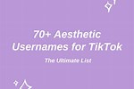 Aesthetic Usernames for Tik Tok
