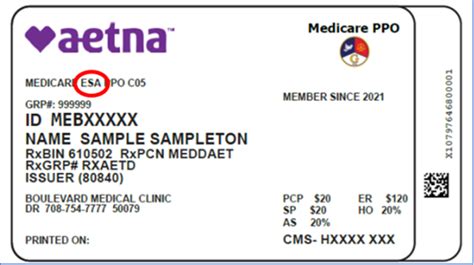 Aetna Temporary Insurance Card