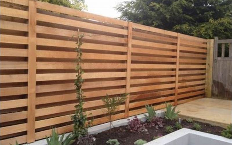 Affordable Privacy Fence Alternatives: