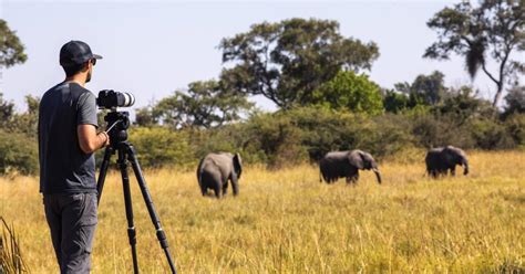African Safari Photography