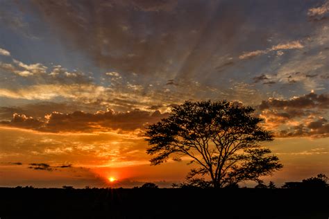 African sunrise