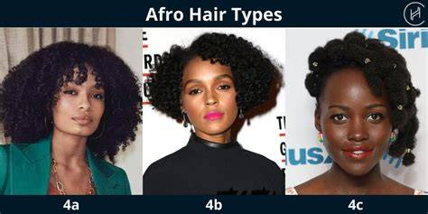 Afro Hair Types Chart