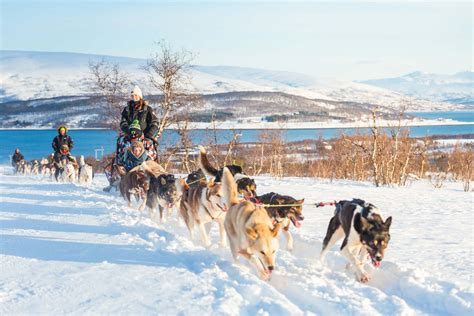 After a Husky Sled Ride