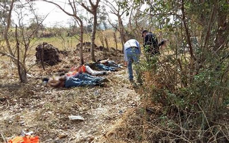 Aftermath Of The San Juan Opico Massacre