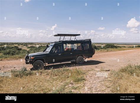 Afternoon Safari Drive