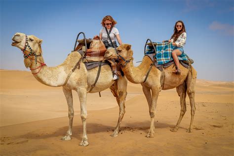Agadir Camel Ride Experience
