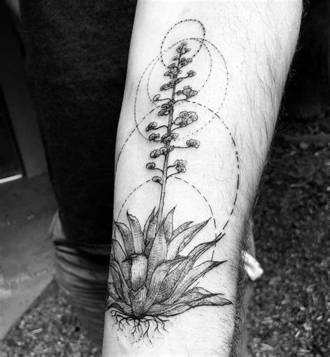 Agave Plant Tattoo