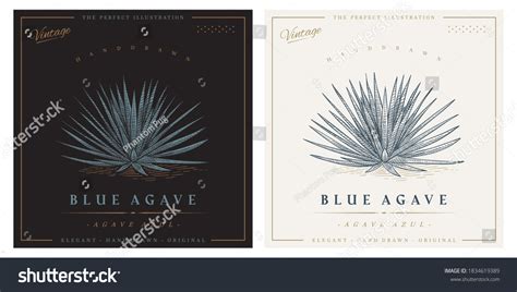 Agave label