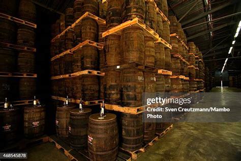Aged rum bottles display
